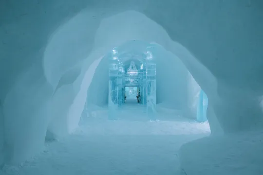 Ceremony Hall Gaia's Bloom by Lisa Lindqvist & Kate Munro | ICEHOTEL